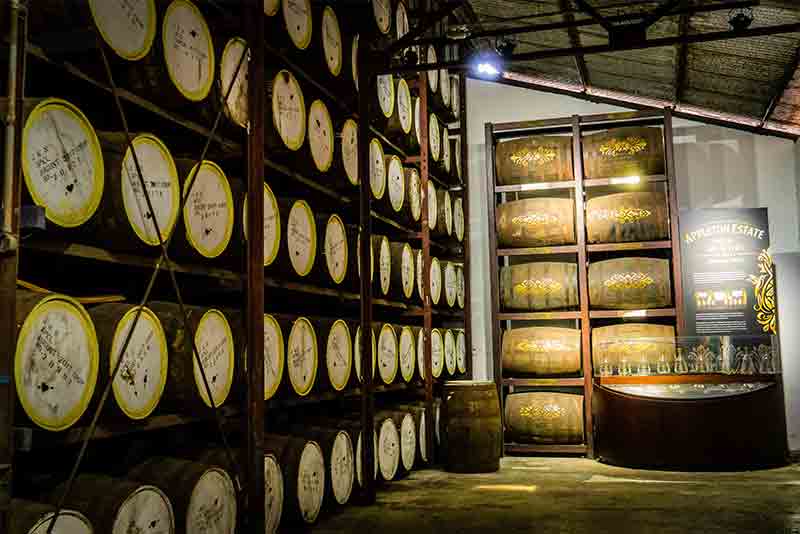 Exploring Jamaican Rum: A Journey into the World of Distillation and Flavors