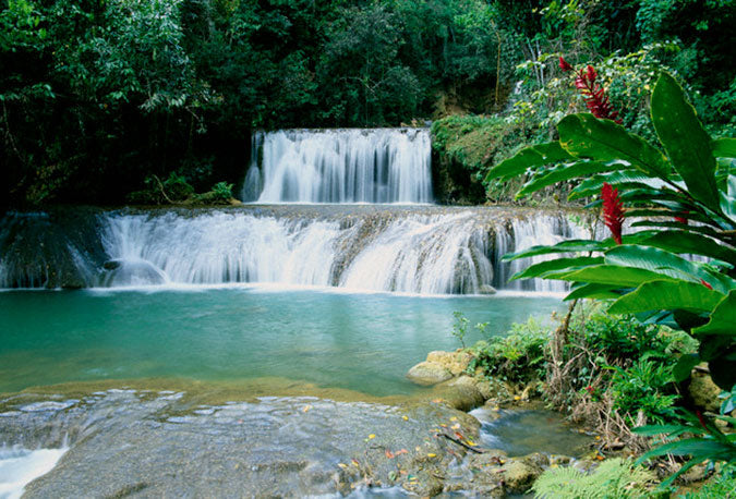 The Breathtaking Natural Beauty of Jamaica