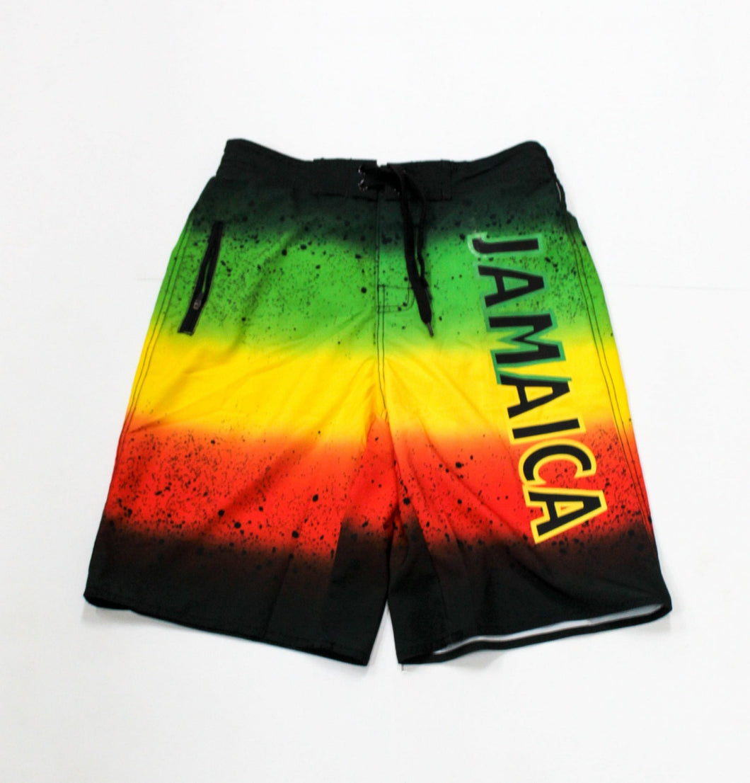 Reggae/Rasta Flag Jamaica Board Shorts